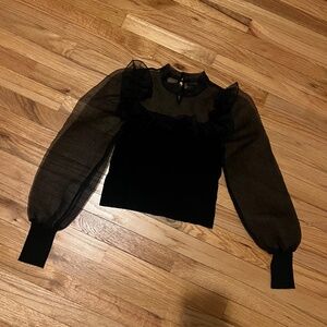 Whimsigoth puff mesh sleeve top